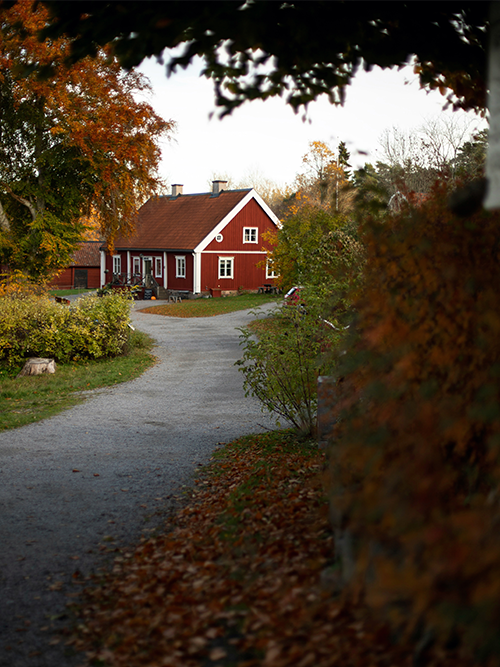 Smarta lösningar för ett bekvämt hem